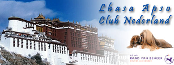 Lhasa Apso, rasvereniging, club,  Nederland